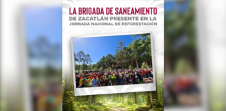 Zacatlán se suma a la Jornada Nacional de Reforestación 2026