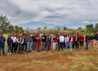 Tonantzin Fernández encabeza reforestación en Cerro Zapotecas