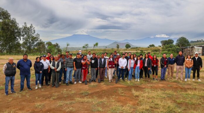 Tonantzin Fernández encabeza reforestación en Cerro Zapotecas