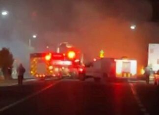 Se incendia tráiler cargado de cerveza en la Cuacnopalan–Oaxaca