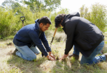 Texmelucan planta 2 mil árboles en el cerro Totolqueme