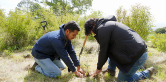 Texmelucan planta 2 mil árboles en el cerro Totolqueme