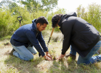 Texmelucan planta 2 mil árboles en el cerro Totolqueme
