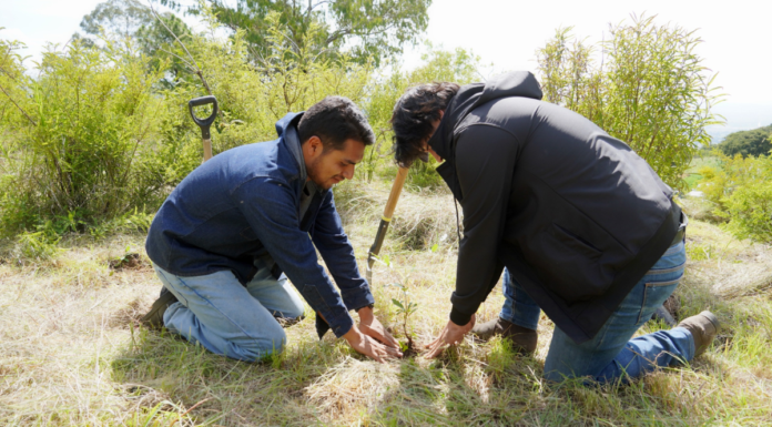 Texmelucan planta 2 mil árboles en el cerro Totolqueme