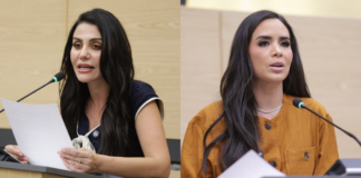 Salvatori y Palomares decidirán si continúan en bancada de Morena