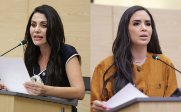 Salvatori y Palomares decidirán si continúan en bancada de Morena