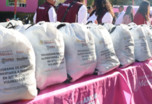 SEDIF entrega 729 canastas alimentarias a familias poblanas
