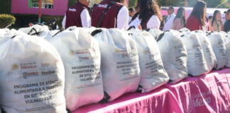 SEDIF entrega 729 canastas alimentarias a familias poblanas