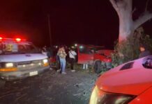 Conductor resulta lesionado tras choque contra árbol en la Puebla-Tehuacán