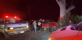 Conductor resulta lesionado tras choque contra árbol en la Puebla-Tehuacán