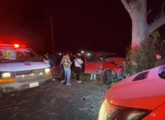 Conductor resulta lesionado tras choque contra árbol en la Puebla-Tehuacán
