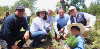 Zacatlán planta 10 mil árboles en ejido de Rancho Nuevo