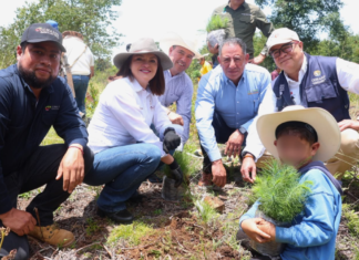 Zacatlán planta 10 mil árboles en ejido de Rancho Nuevo