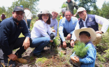 Zacatlán planta 10 mil árboles en ejido de Rancho Nuevo