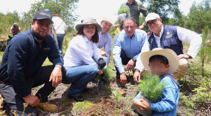 Zacatlán planta 10 mil árboles en ejido de Rancho Nuevo