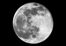 Microbios terrestres podrían resistir en la Luna, revela NASA