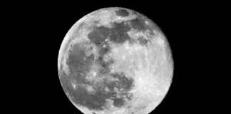 Microbios terrestres podrían resistir en la Luna, revela NASA