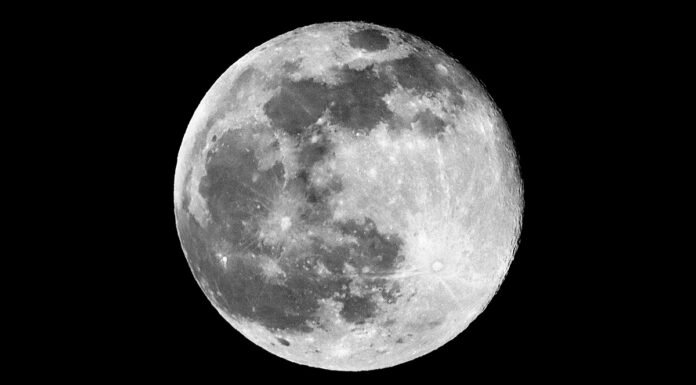 Microbios terrestres podrían resistir en la Luna, revela NASA