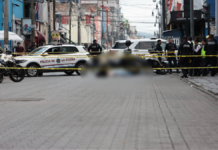 Madre buscadora muere tras ser atropellada por Ruta 67 en Puebla