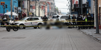 Madre buscadora muere tras ser atropellada por Ruta 67 en Puebla