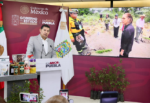 Puebla destaca resultados de la Jornada Nacional de Reforestación