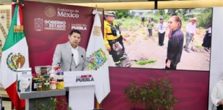 Puebla destaca resultados de la Jornada Nacional de Reforestación