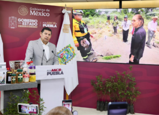 Puebla destaca resultados de la Jornada Nacional de Reforestación