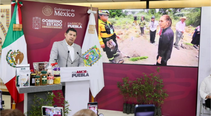 Puebla destaca resultados de la Jornada Nacional de Reforestación