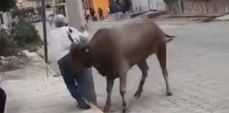 Toro embiste a adulto mayor durante la Feria de Atoyatempan