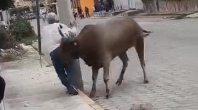 Toro embiste a adulto mayor durante la Feria de Atoyatempan