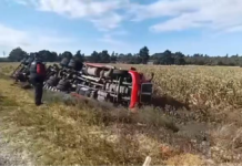 Tráiler cargado de cerveza vuelca en la federal El Seco-Azumbilla