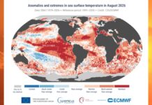 Agosto 2026 fue el más caluroso desde que hay registros, advierte WMO