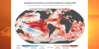 Agosto 2026 fue el más caluroso desde que hay registros, advierte WMO
