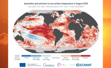 Agosto 2026 fue el más caluroso desde que hay registros, advierte WMO