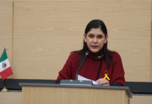 Ana Tepole propone programas de salud mental en escuelas