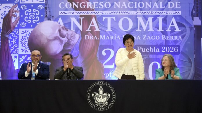 Anatomía