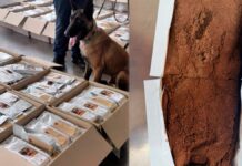 Detectan una tonelada de café contaminado con cocaína en el AICM