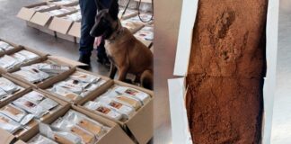 Detectan una tonelada de café contaminado con cocaína en el AICM
