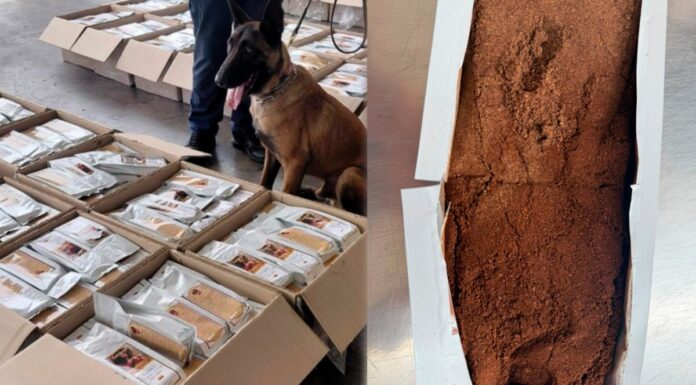 Detectan una tonelada de café contaminado con cocaína en el AICM