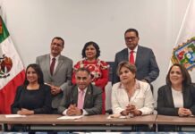 Aprueba Comisión exhortos para reforzar seguridad en unidades del transporte público