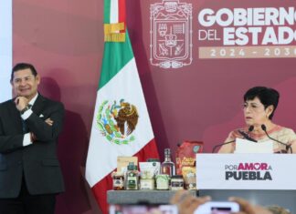 Armenta: concesiones de transporte se otorgan sin intermediarios ni cuotas