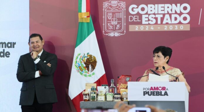 Armenta: concesiones de transporte se otorgan sin intermediarios ni cuotas