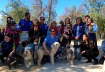 Chile, primer país de Sudamérica en eliminar la rabia transmitida por perros