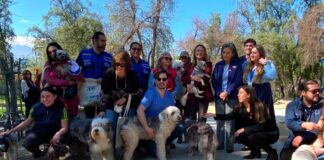 Chile, primer país de Sudamérica en eliminar la rabia transmitida por perros