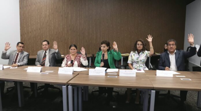 Avalan exhorto para impulsar señales en español y lenguas indígenas