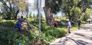 SEDIF impulsa Faenas Comunitarias en municipios poblanos