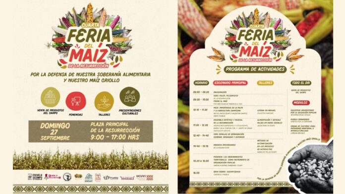 Feria de maíz