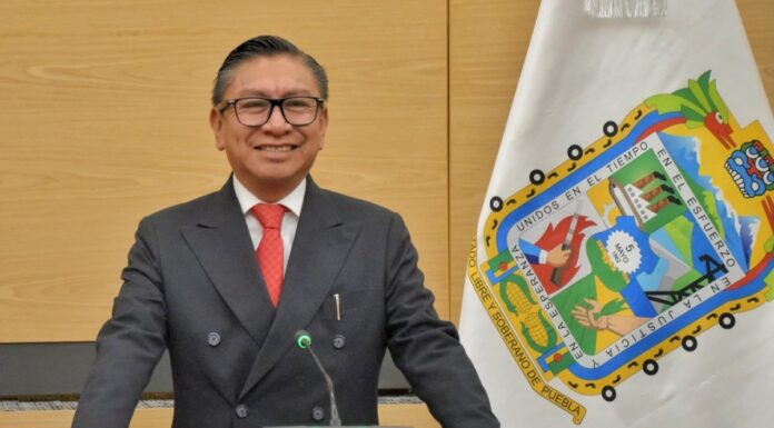 Proponen crear registro estatal de predios forestales incendiados