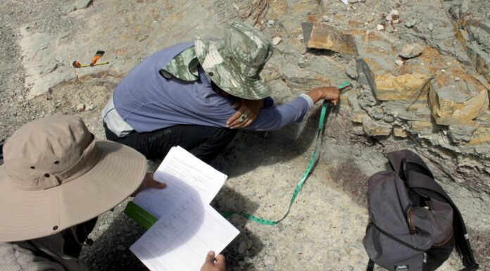 Investigadores BUAP registran nuevas huellas de dinosaurio en Puebla