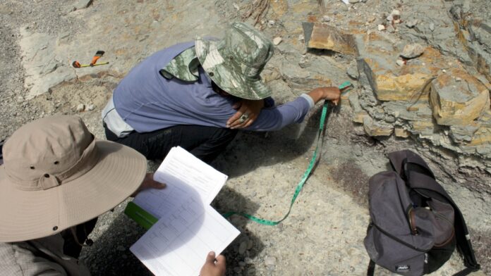 Investigadores